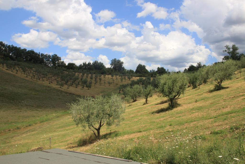 Agriturismo Le Buche Di Viesca Reggello Zewnętrze zdjęcie